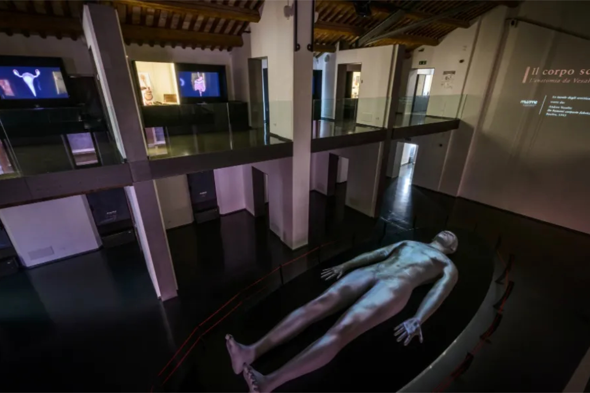 Museo della Storia della Medicina
