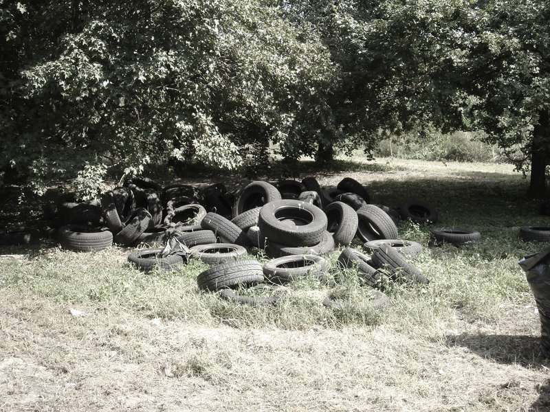 La golena del parco Fenice di Padova nel 2006, piena di pneumatici abbandonati.