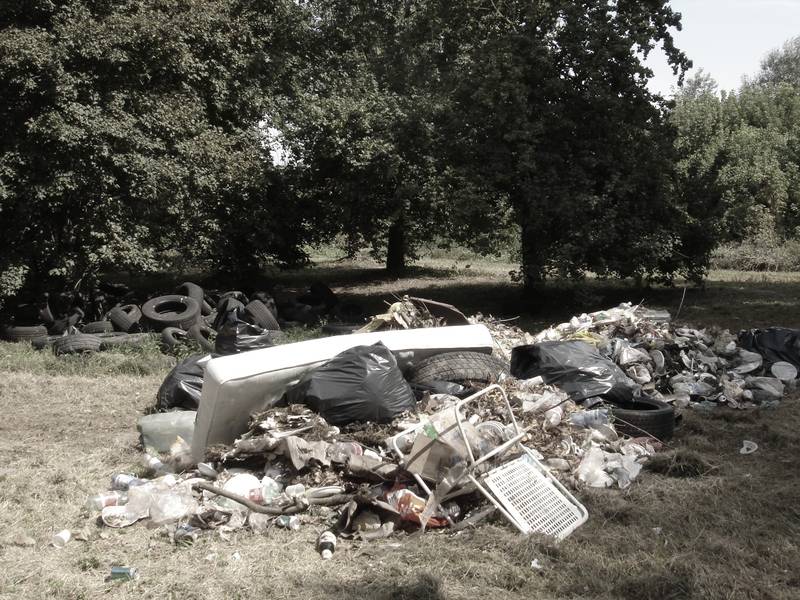Un cumulo di rifiuti, sacchi neri, un materasso e pneumatici abbandonati sotto gli alberi.